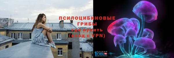 твердый Алексин