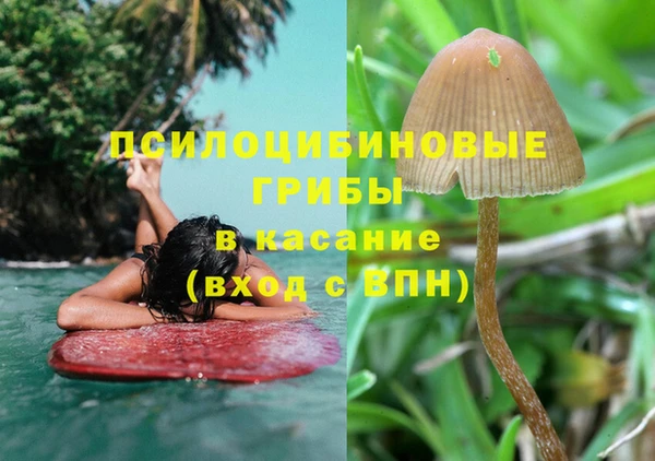 твердый Алексин