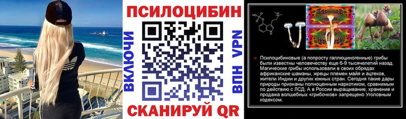 что такое   Новошахтинск  Псилоцибиновые грибы Cubensis 