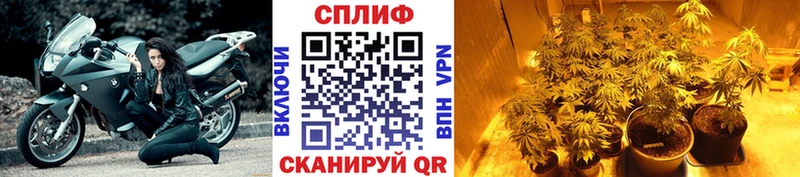 купить   Новошахтинск  Бошки Шишки THC 21% 
